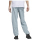 Adidas Ανδρικό παντελόνι Terrex Liteflex Hiking Pants